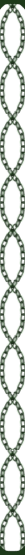 Image posted by the member