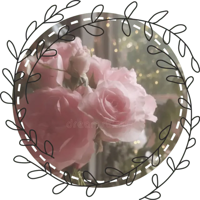Image posted by the member