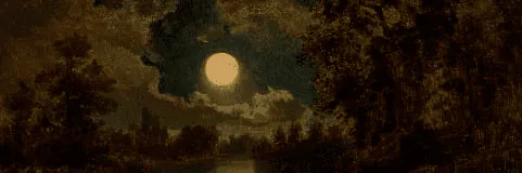 Image posted by the member