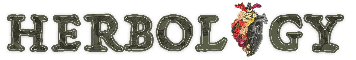 Image posted by the member