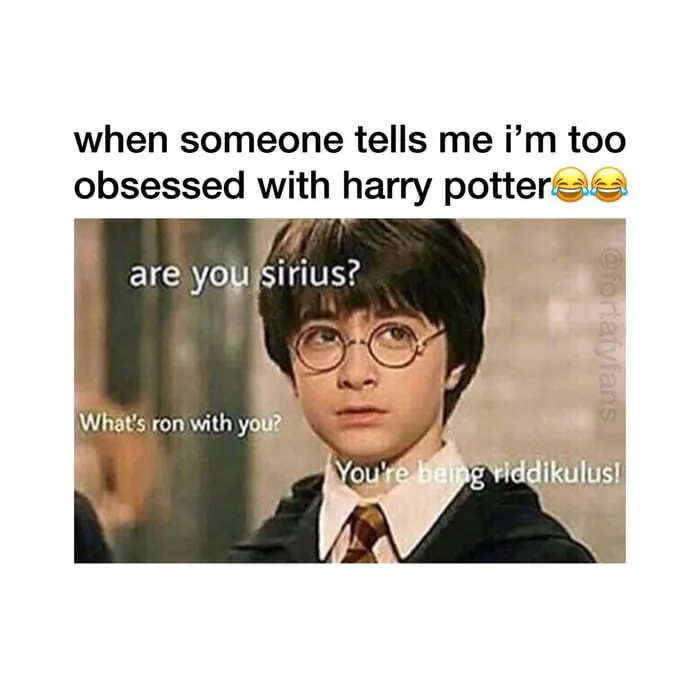 Image posted by the member