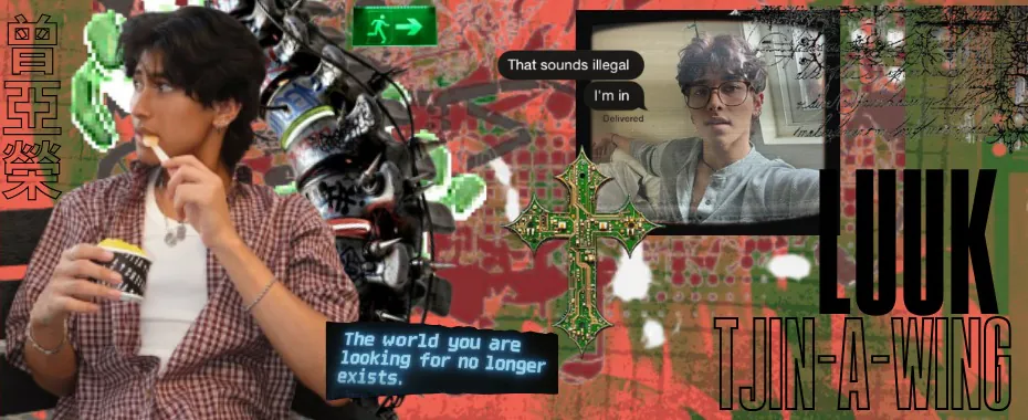 Image posted by the member