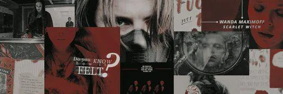 Image posted by the member