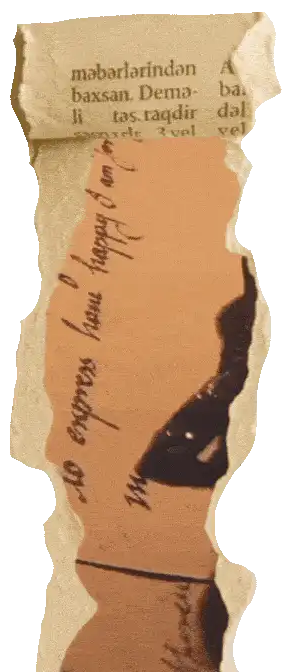 Image posted by the member