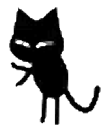 A cat dancing