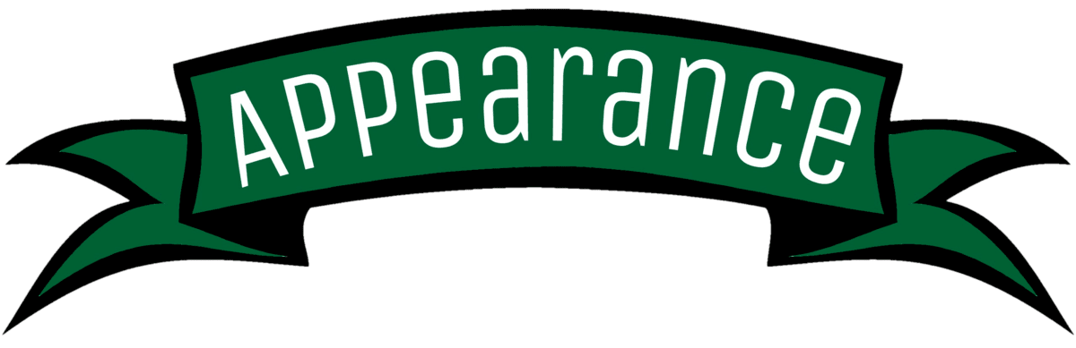Image posted by the member