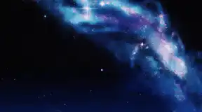 Image posted by the member