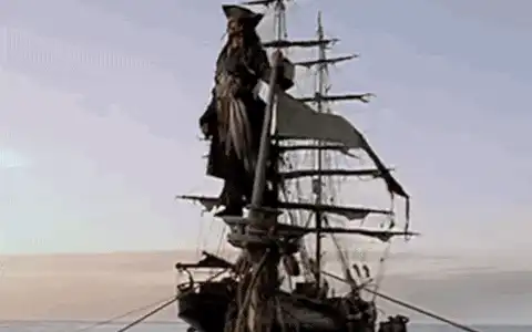 Image posted by the member