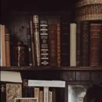 Image posted by the member