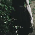 Image posted by the member