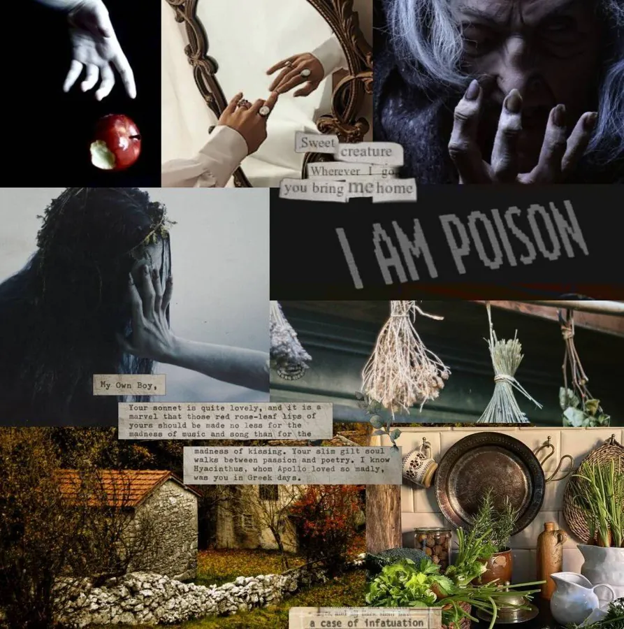 Image posted by the member