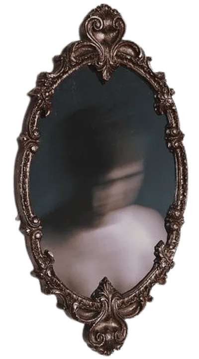 Image posted by the member
