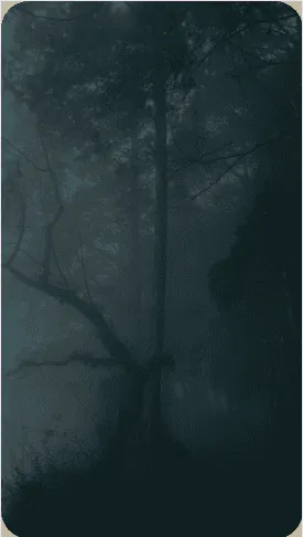 Image posted by the member