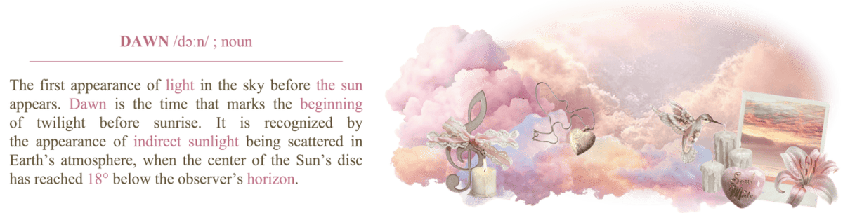 Image posted by the member