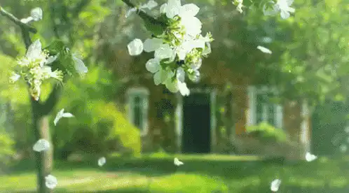 Image posted by the member