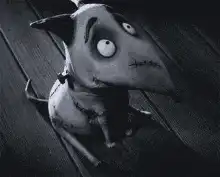 Image posted by the member