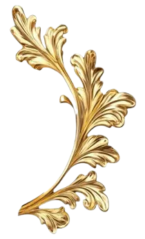 Image posted by the member