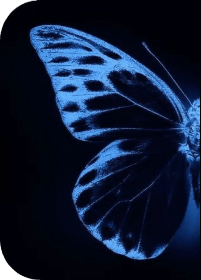 Image posted by the member