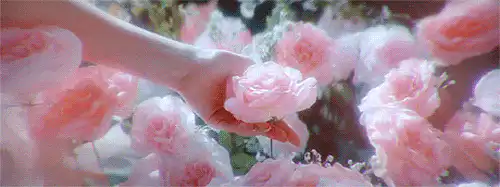 Image posted by the member