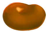 Image posted by the member