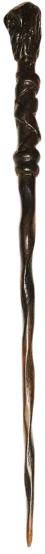 Image posted by the member