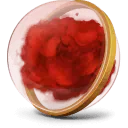 Image posted by the member