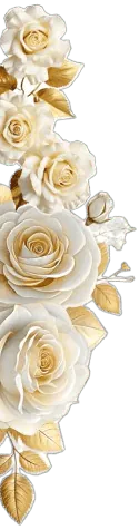 Image posted by the member