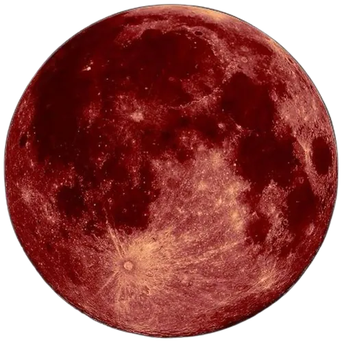Image posted by the member