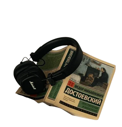 Image posted by the member
