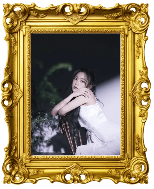 Image posted by the member