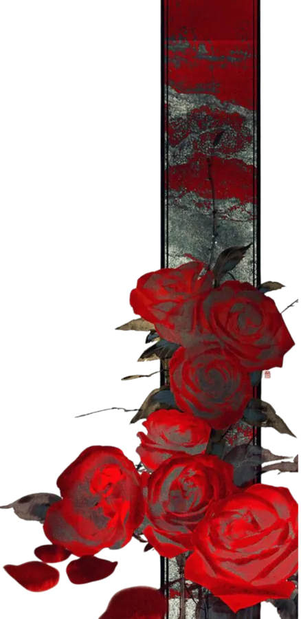 Image posted by the member