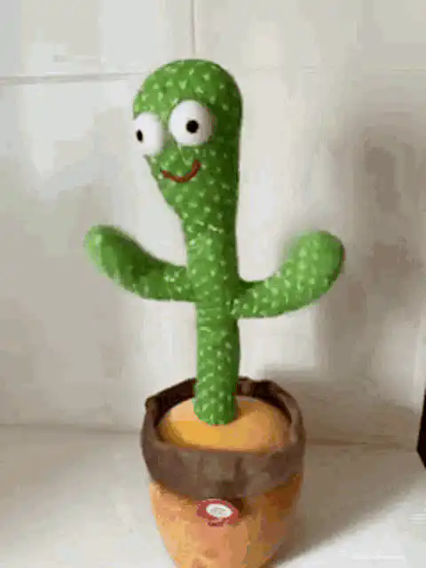 Image posted by the member