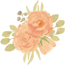 Image posted by the member