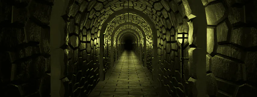 Image posted by the member