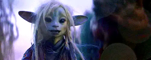 Image posted by the member