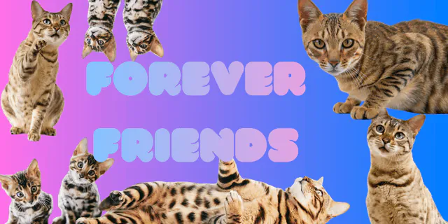Image posted by the member