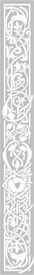 Image posted by the member