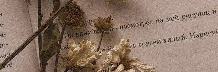 Image posted by the member