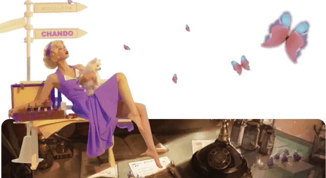 Image posted by the member