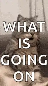 Image posted by the member