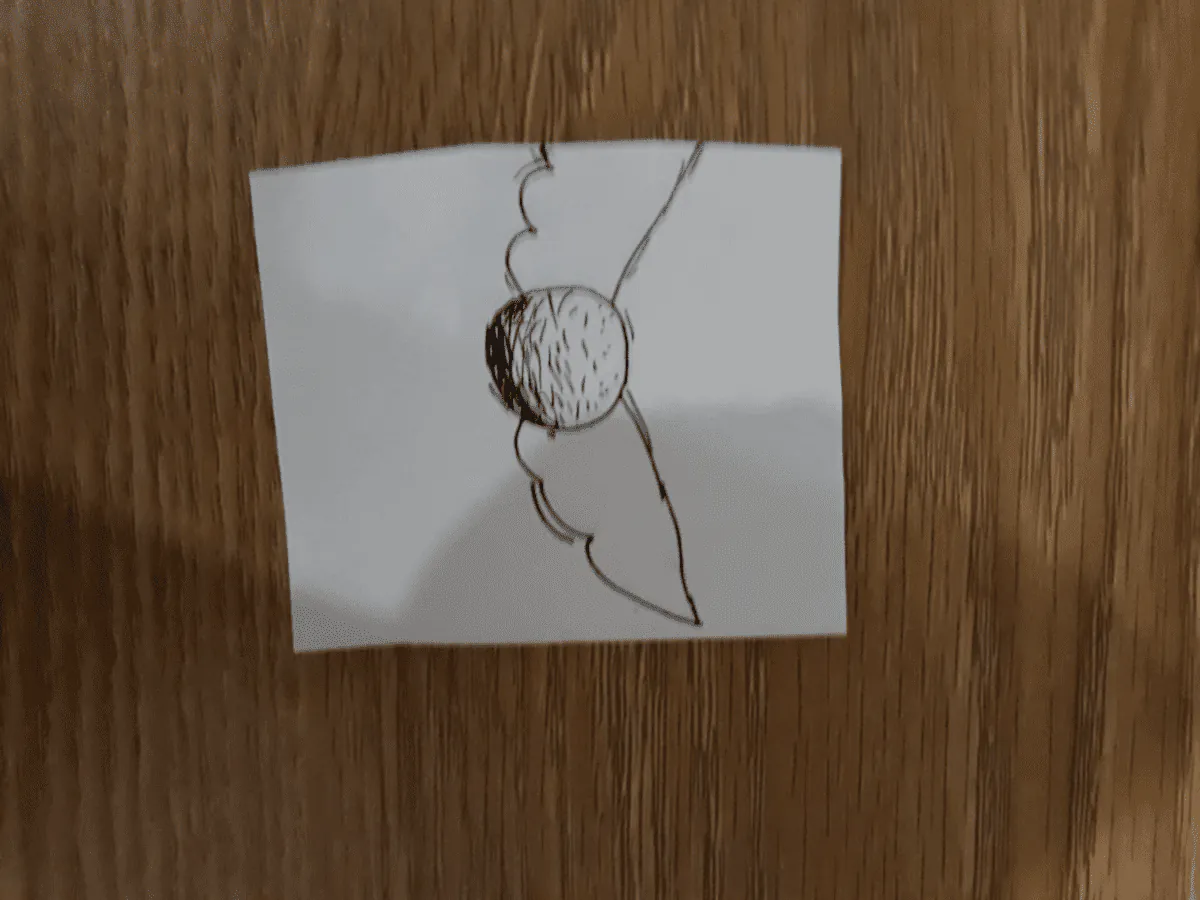 Image posted by the member