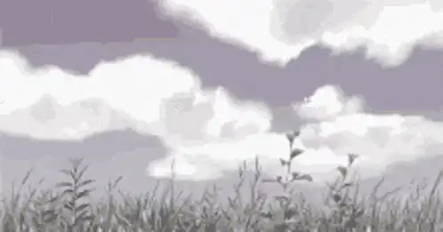 Image posted by the member