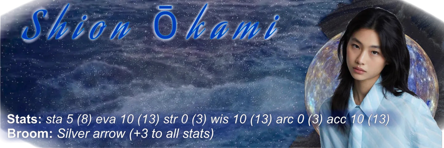 a banner with blue theme that has Shion's stats and broom