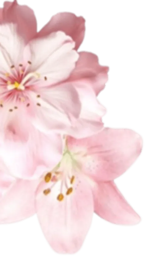 Image posted by the member