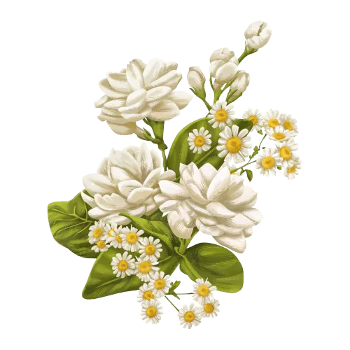 Image posted by the member