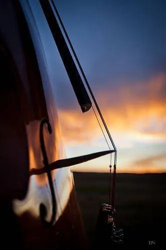 Image posted by the member
