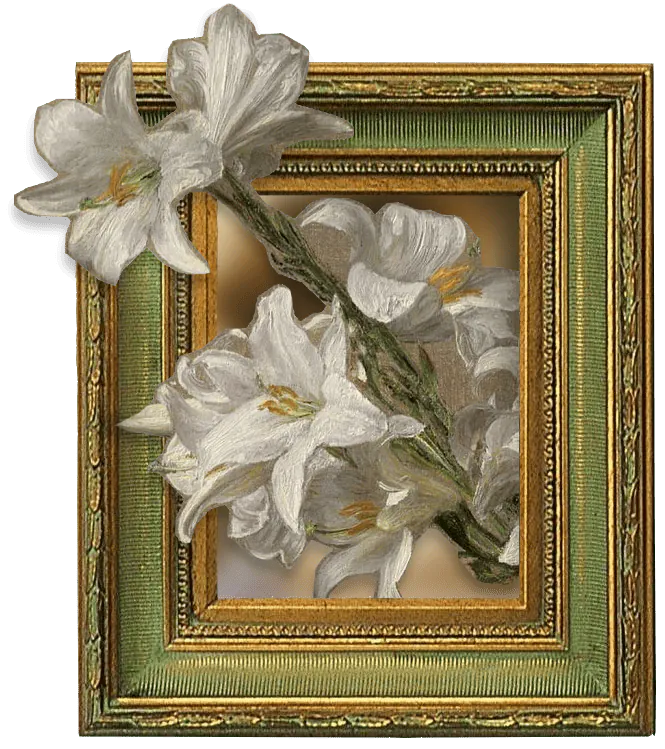 Image posted by the member