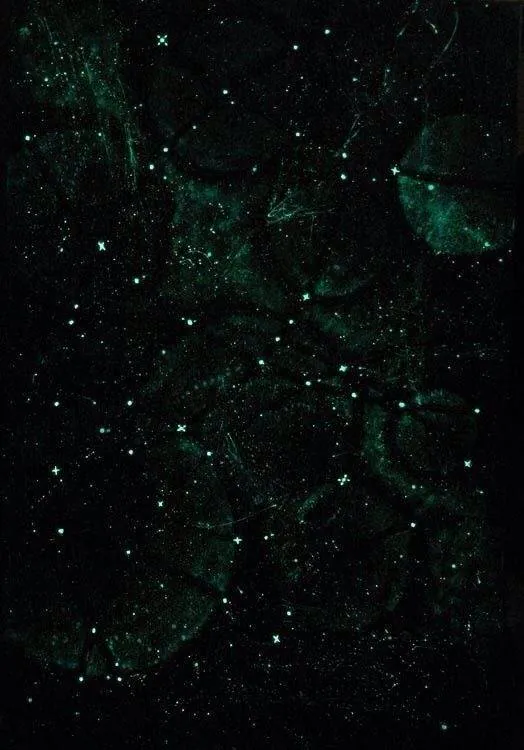 Image posted by the member