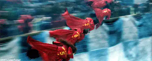 Image posted by the member