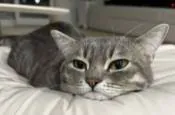 Image posted by the member